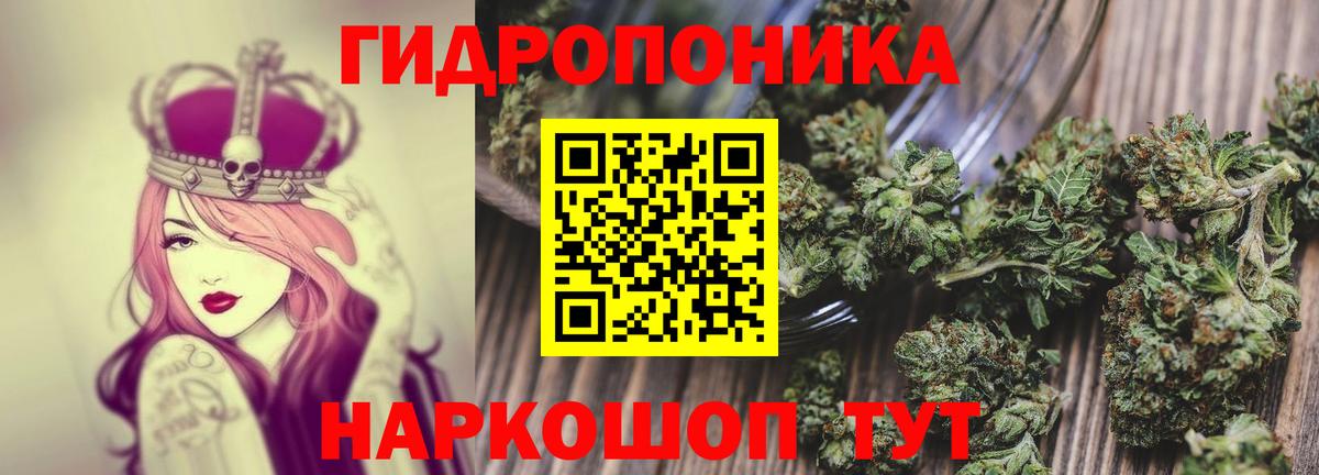 Канабис OG Kush  Бошки Шишки VHQ  Канабис индика  Вход с VPN  Конопля MAZAR  Губаха 
